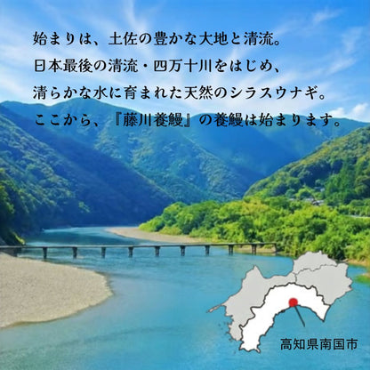 【高知県産】土佐はちきんうなぎ 蒲焼き 【サイズ・容量選択可】