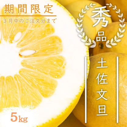 【今シーズン受付終了】須崎市産・土佐文旦 秀品 優品 家庭用 5～10kg【高知県須崎市・北川果樹園】【柑橘】