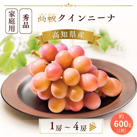 【9月中旬頃より順次出荷・先行予約受付中】家庭用/秀品 高級 クインニーナ 1房約600g【1房～4房から選択可】