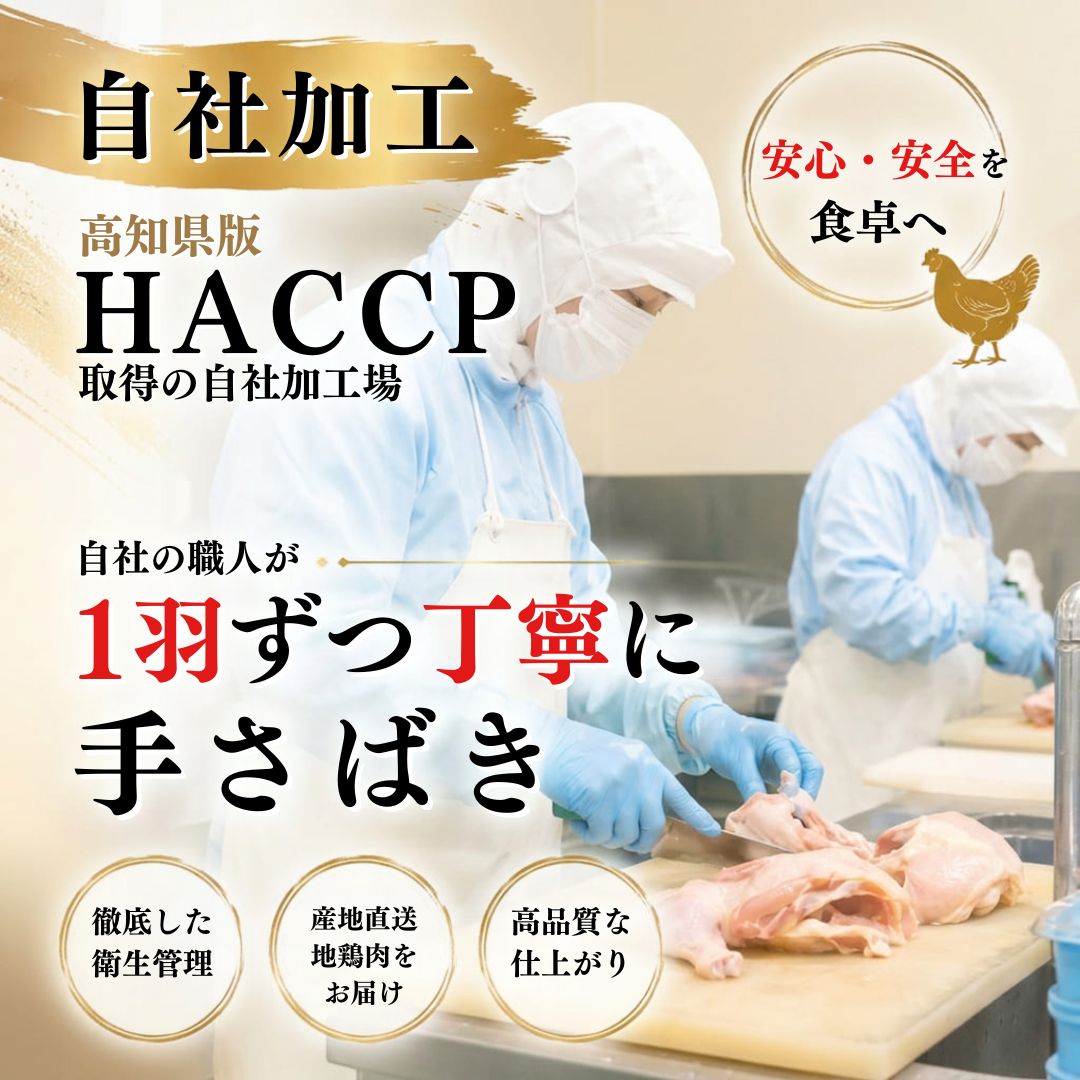 【高知県産地鶏】土佐ジロー １羽 正肉セット【500g以上】
