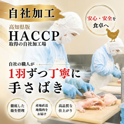 【高知県産地鶏】土佐ジロー １羽 正肉セット【500g以上】