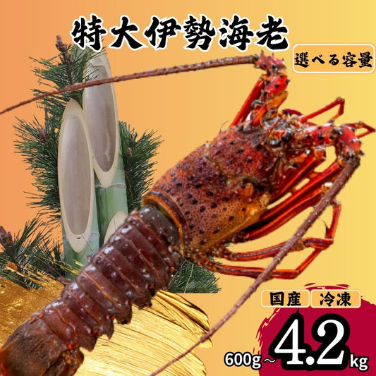 【特大】伊勢海老 選べる容量 600g～4.2kg