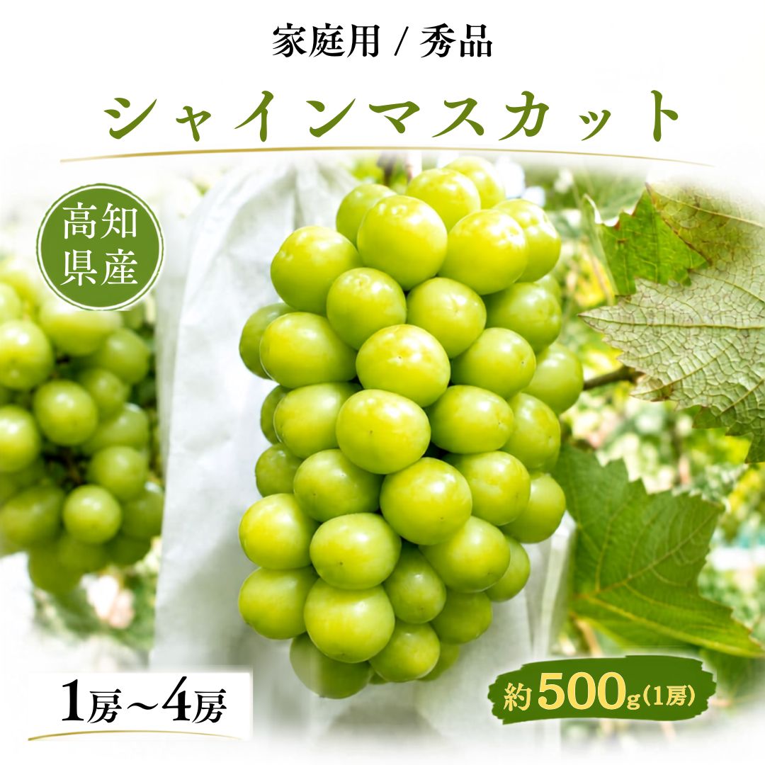 【順次出荷中】家庭用/秀品シャインマスカット 1房約500g【1房～4房まで選択可】