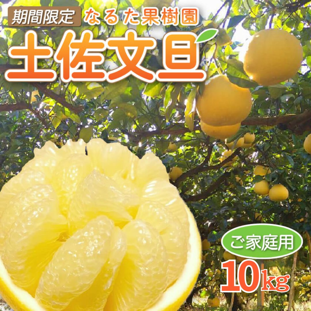 宿毛産・土佐文旦5kg～10kg（ご家庭用）【高知県宿毛市・なるた果樹園】【柑橘】