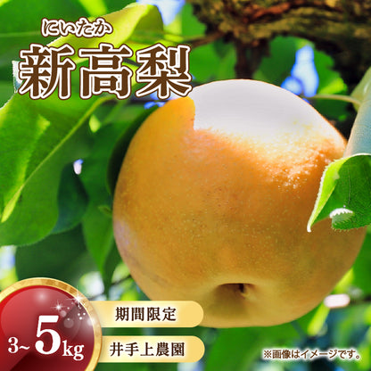 【10月初旬以降順次出荷】福岡県産 新高梨 約3～5kg