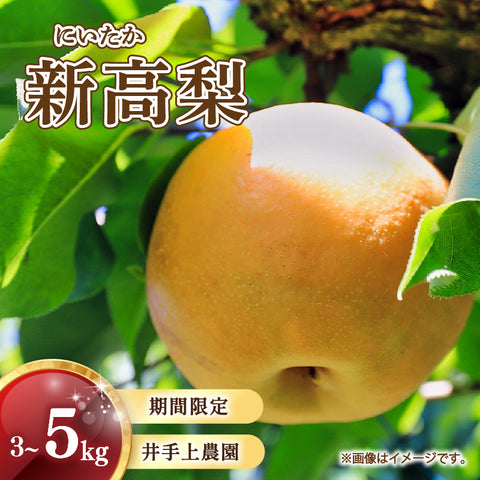 【10月初旬以降順次出荷】福岡県産 新高梨 約3～5kg