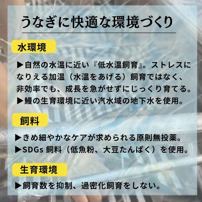 【高知県産】土佐はちきんうなぎ 蒲焼き 【サイズ・容量選択可】