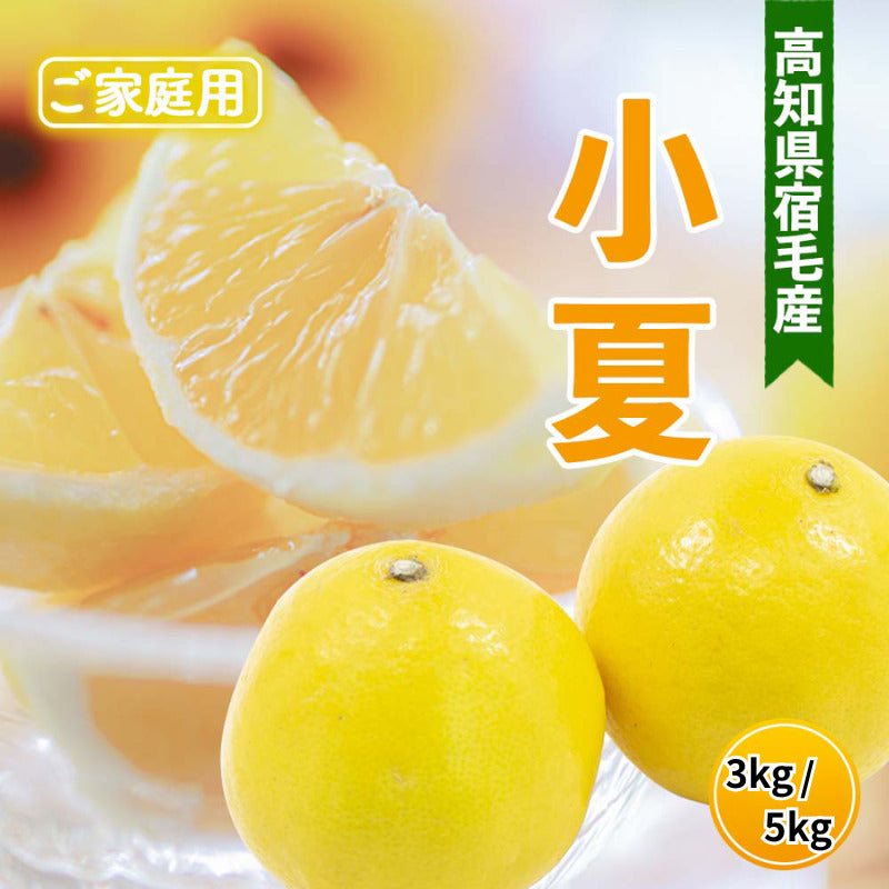 高知県宿毛産・小夏（日向夏）3kg/5kg（ご家庭用）【高知県宿毛市・なるた果樹園】【柑橘】
