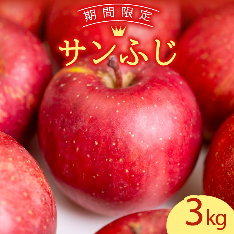 【12/24までの注文で年内配送】福岡県産 川崎町観光りんご園「サンふじ」良品 約3kg／5kg／10kg