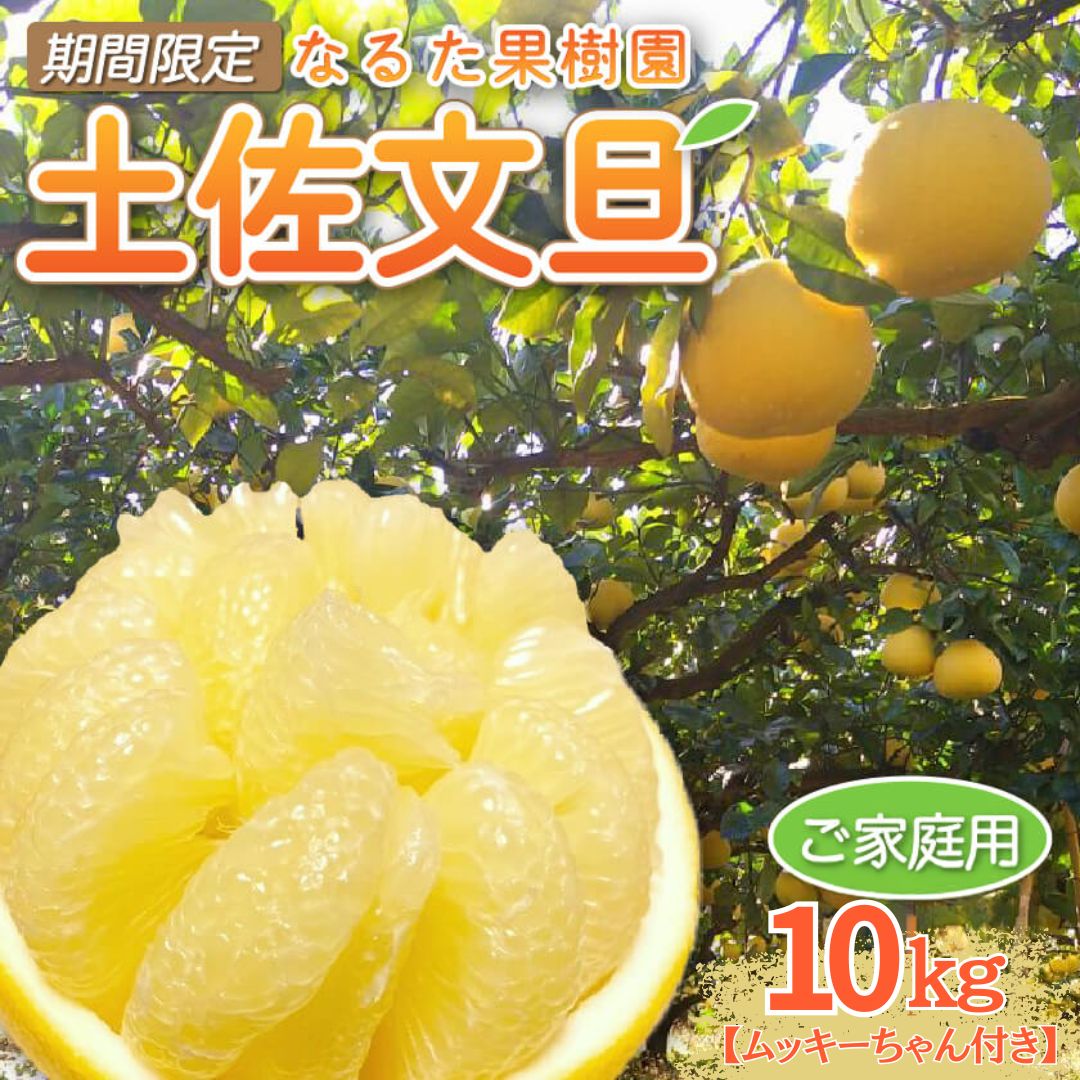 宿毛産・土佐文旦5kg～10kg（ご家庭用）【高知県宿毛市・なるた果樹園】【柑橘】