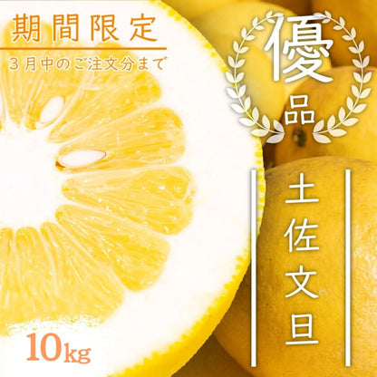 【今シーズン受付終了】須崎市産・土佐文旦 秀品 優品 家庭用 5～10kg【高知県須崎市・北川果樹園】【柑橘】