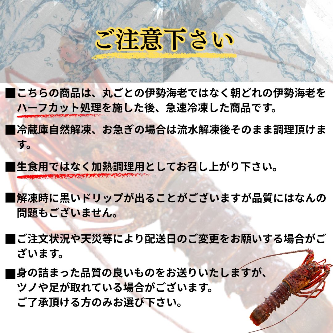 【贅沢冬鍋】伊勢海老鍋セット 700g～3.5kg