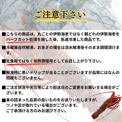 【贅沢冬鍋】伊勢海老鍋セット 700g～3.5kg