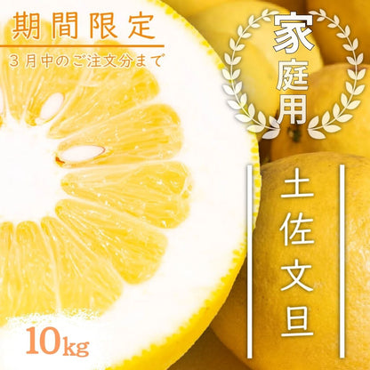 【今シーズン受付終了】須崎市産・土佐文旦 秀品 優品 家庭用 5～10kg【高知県須崎市・北川果樹園】【柑橘】
