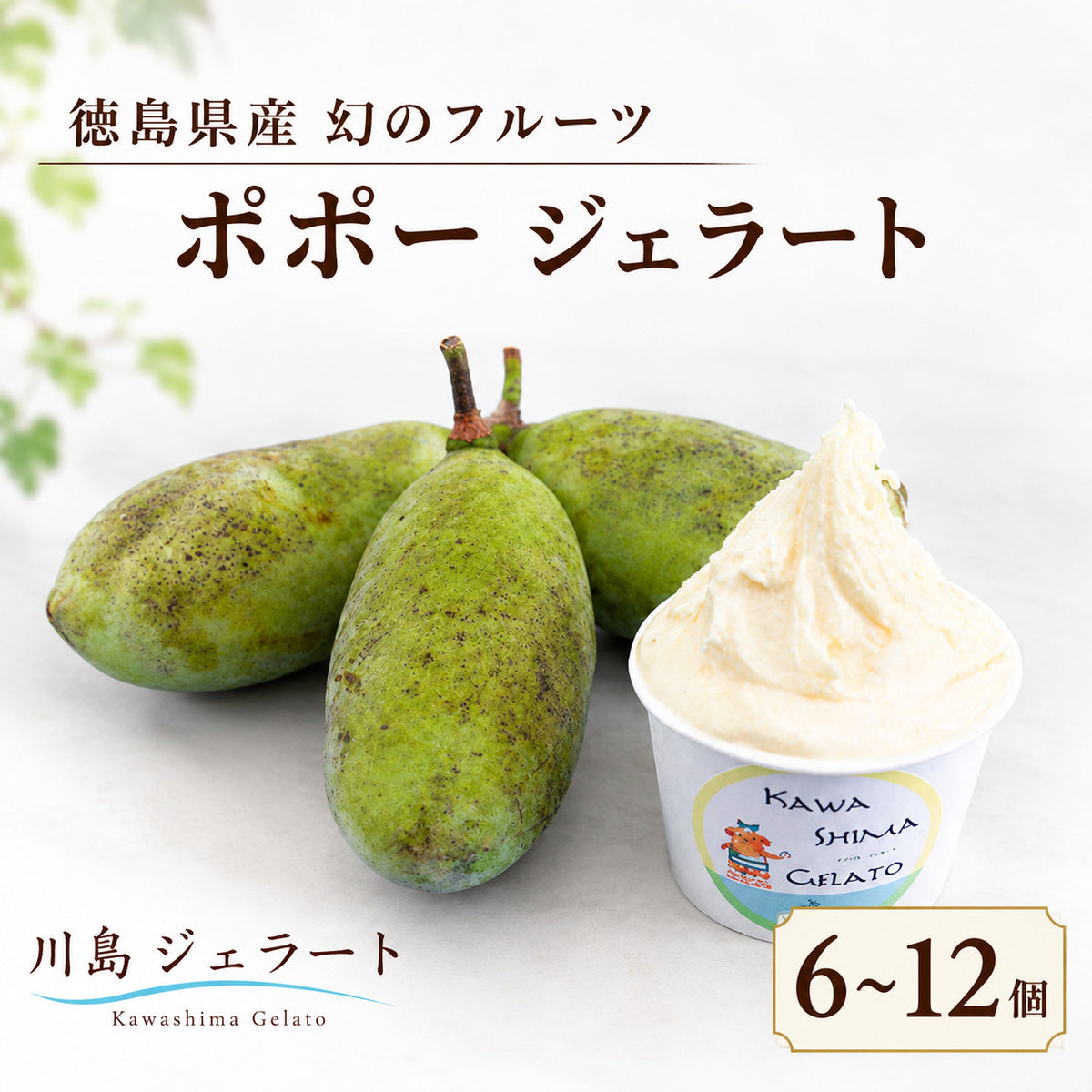【川島ジェラート 】幻のフルーツ ポポー ジェラート【6個/12個】
