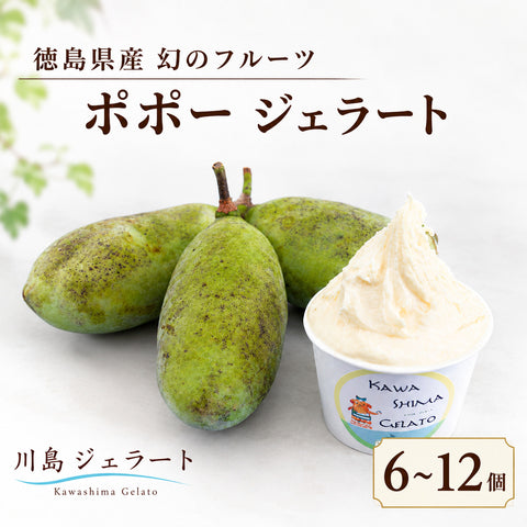 【川島ジェラート 】幻のフルーツ ポポー ジェラート【6個/12個】
