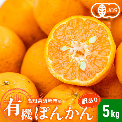 【今季受付終了】甘くておいしい有機ポンカン　訳あり5kg/10kg【高知県須崎市・田條園】【柑橘】