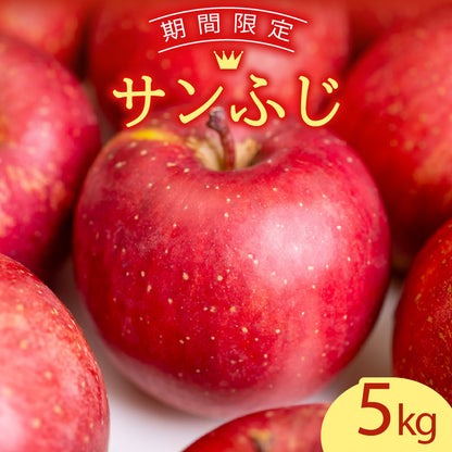 【12/24までの注文で年内配送】福岡県産 川崎町観光りんご園「サンふじ」良品 約3kg／5kg／10kg