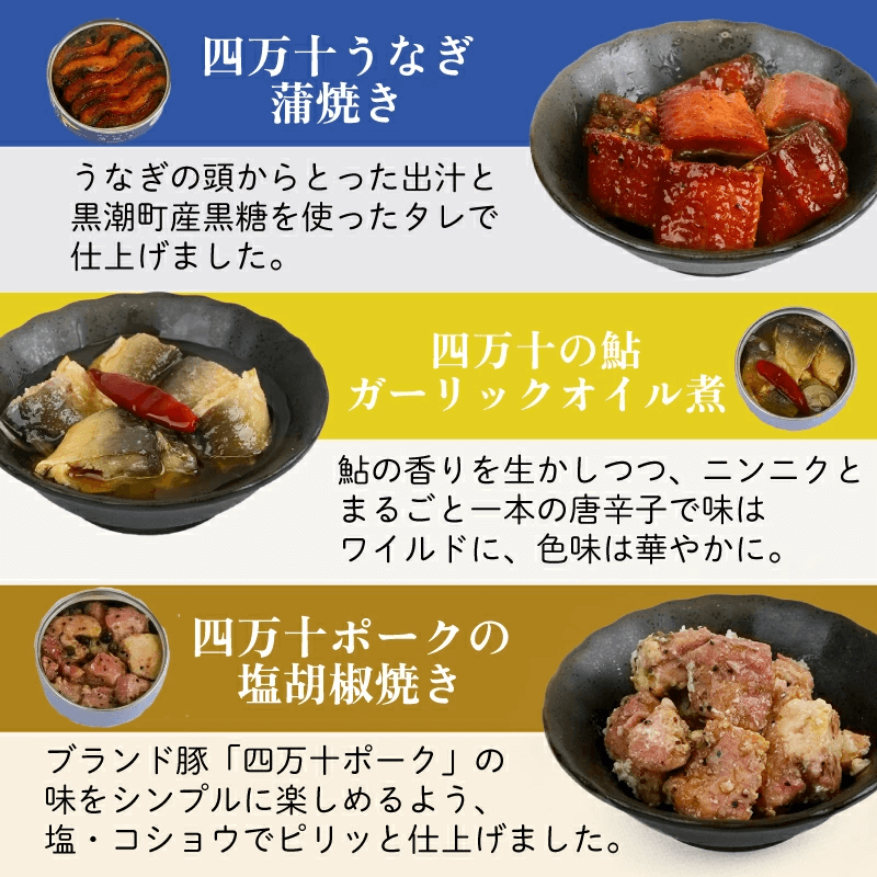 【缶詰】高知のうまいものを詰め込んだグルメ缶詰12缶セット 8大アレルゲン不使用【防災】【備蓄】