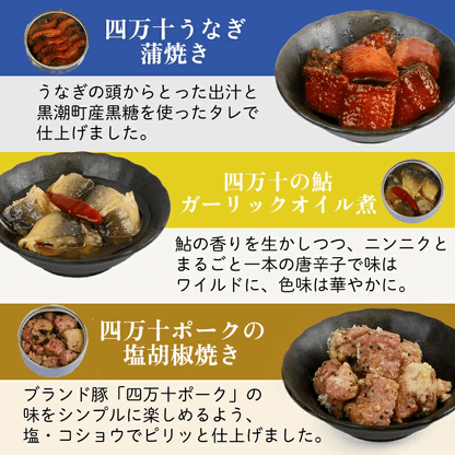 【缶詰】高知のうまいものを詰め込んだグルメ缶詰12缶セット 8大アレルゲン不使用【防災】【備蓄】