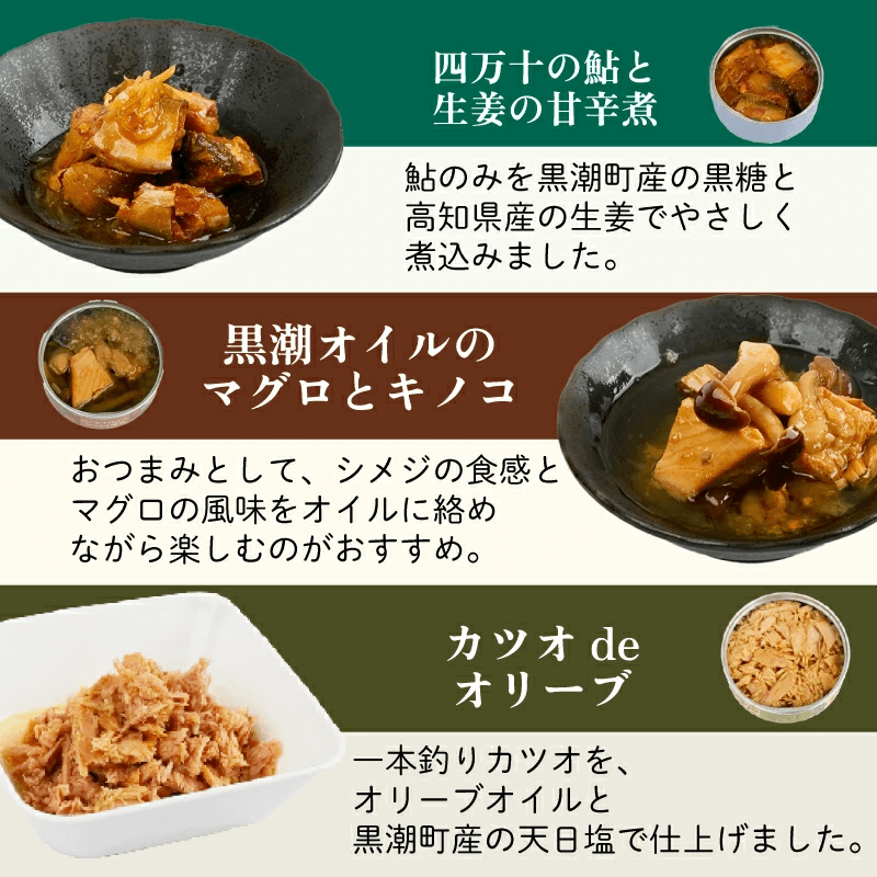 【缶詰】高知のうまいものを詰め込んだグルメ缶詰12缶セット 8大アレルゲン不使用【防災】【備蓄】