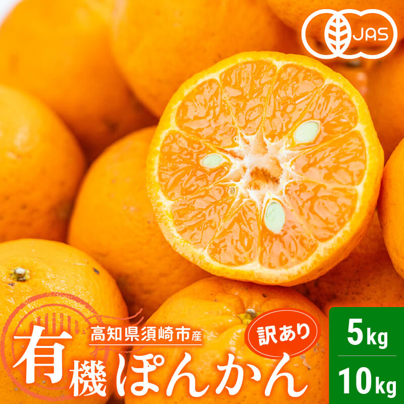 【今季受付終了】甘くておいしい有機ポンカン　訳あり5kg/10kg【高知県須崎市・田條園】【柑橘】