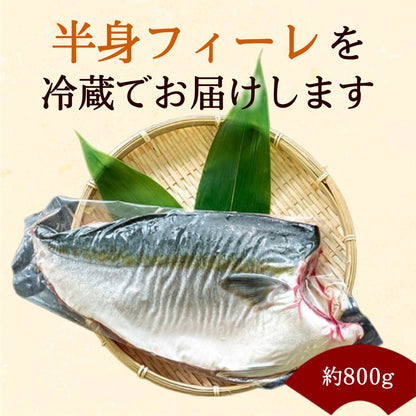 【上品な脂乗り】土佐宿毛ブリ 半身フィーレ（皮付き） 【カマ付き】