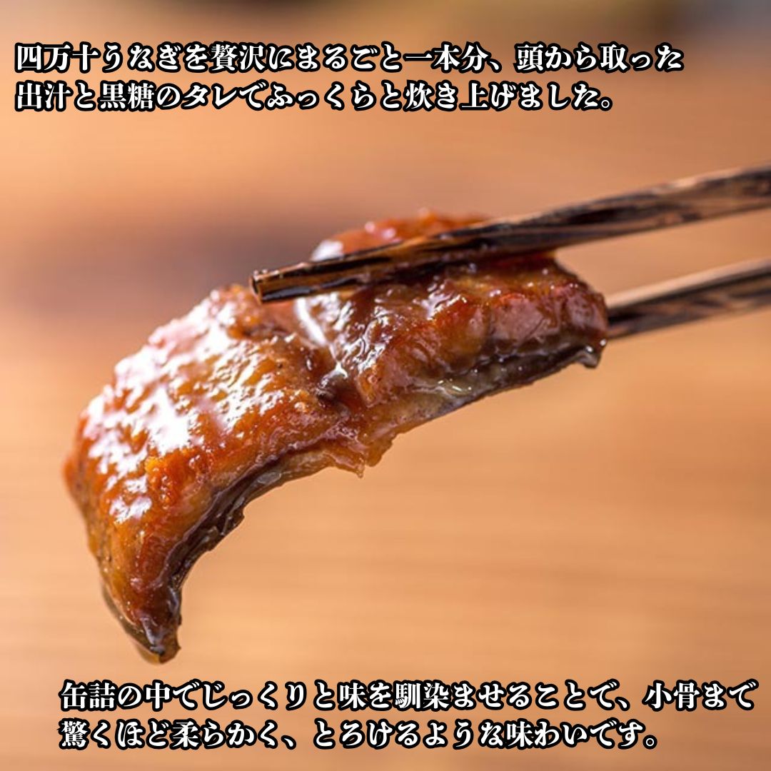 【缶詰】国産 四万十うなぎ2缶セット 8大アレルゲン不使用 【防災】【備蓄】