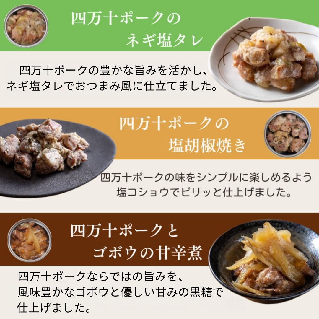 【缶詰】四万十の恵み鮎とポークの詰め合わせ6缶セット 8大アレルゲン不使用【防災】【備蓄】