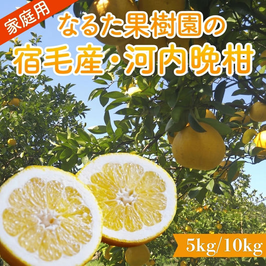 【高知県宿毛産】 河内晩柑 5kg/10kg 家庭用【成田果樹園】