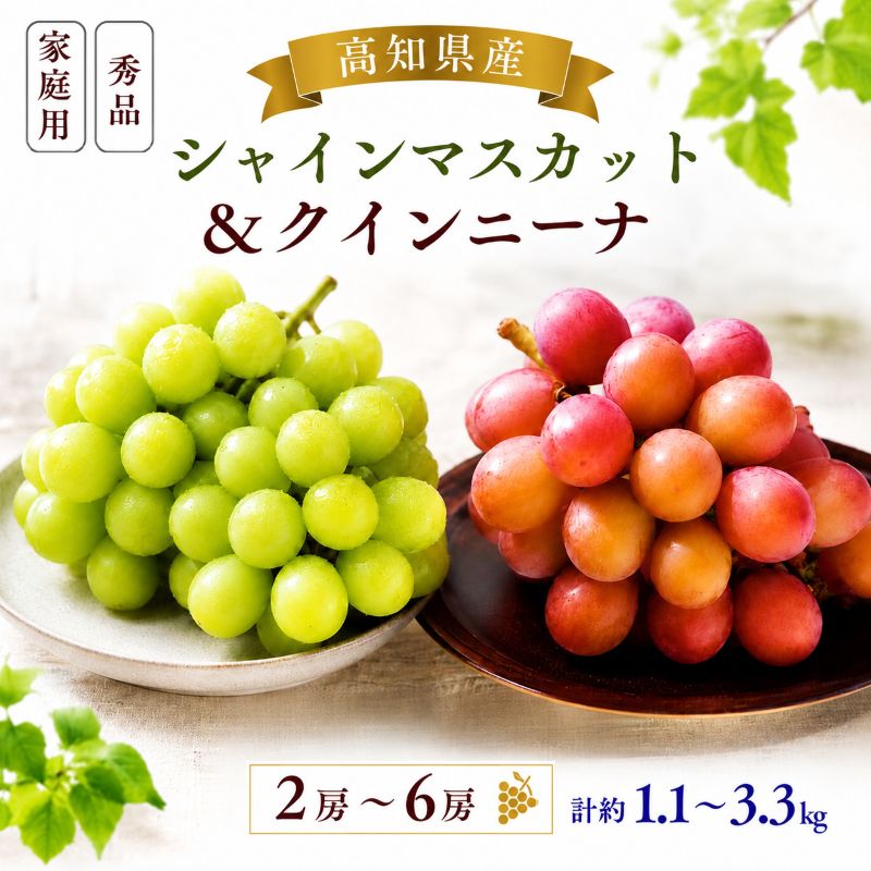 【9月中旬頃より順次出荷・先行予約受付中】シャインマスカット＆クインニーナ　計約1.1kg～約3.3kg【2房～6房から選択可】