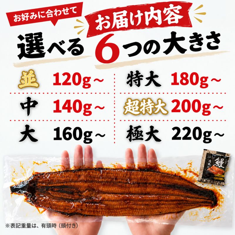 【高知県産】土佐はちきんうなぎ 蒲焼き 【サイズ・容量選択可】