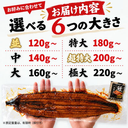 【高知県産】土佐はちきんうなぎ 蒲焼き 【サイズ・容量選択可】