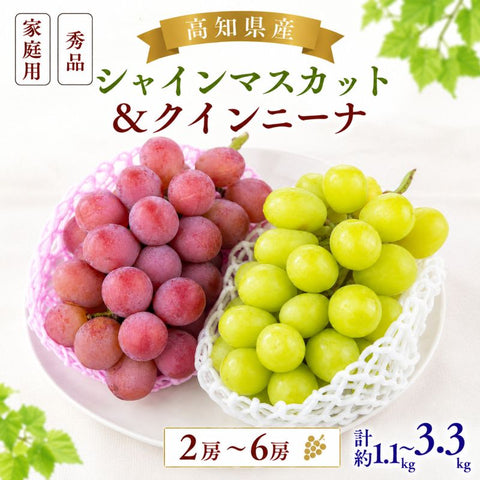 【順次出荷中】シャインマスカット＆クインニーナ　計約1.1kg～約3.3kg【2房～6房から選択可】