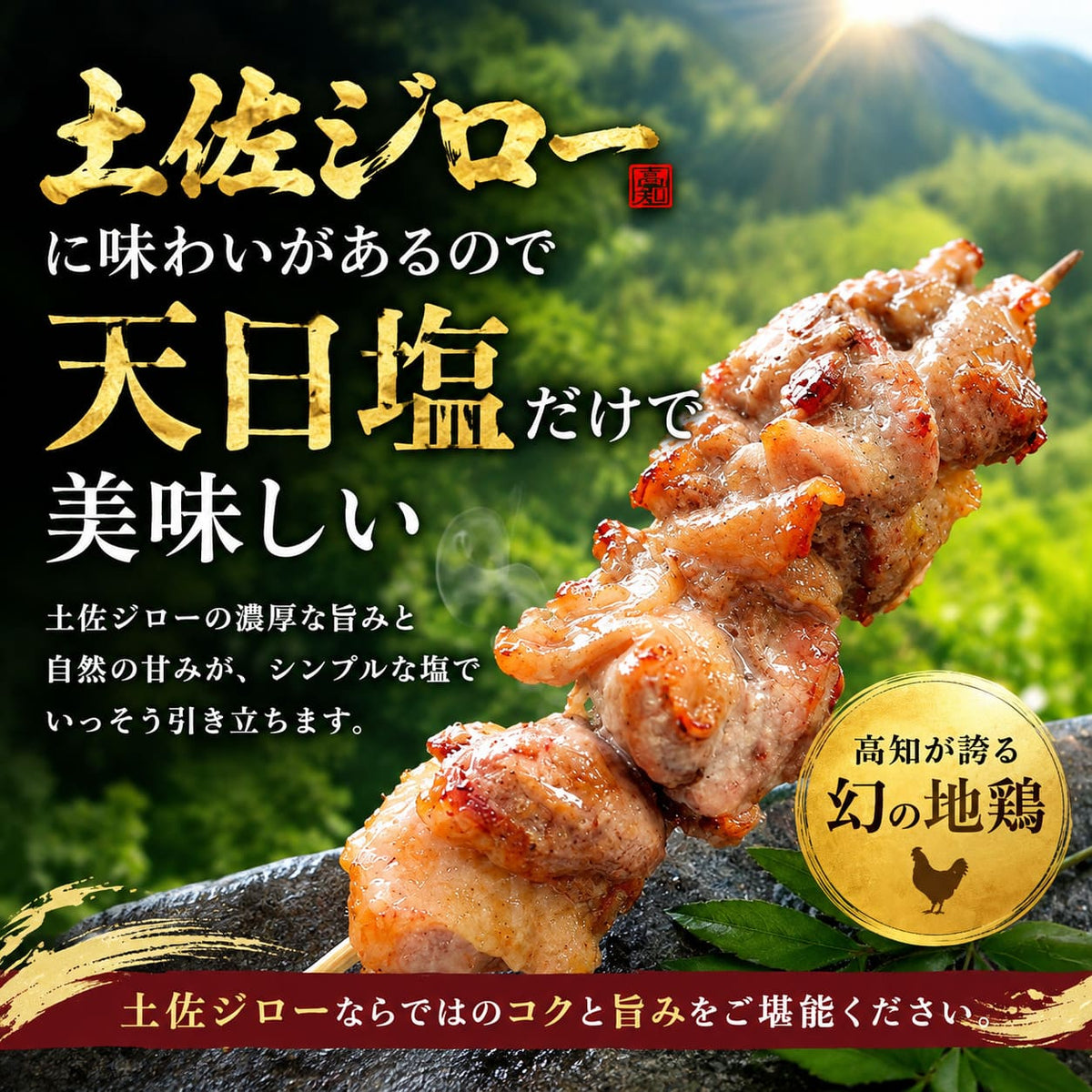【高知県産地鶏】土佐ジロー １羽 正肉セット【500g以上】