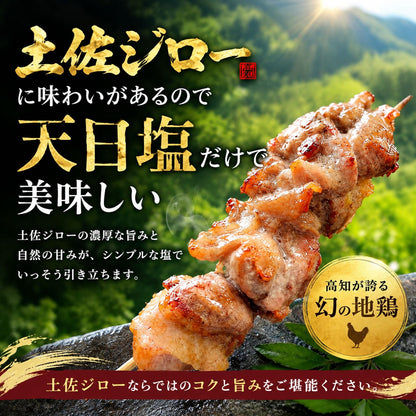 【高知県産地鶏】土佐ジロー １羽 正肉セット【500g以上】