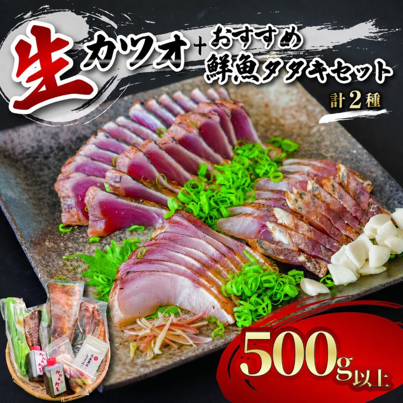 【未冷凍でお届け】冷蔵 鮮魚 日戻り 生カツオとその日のオススメの魚のたたきセット 計2種 約500g【たたき職人のれそれ】