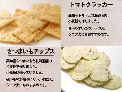 犬用　オリジナルクッキー10点セット