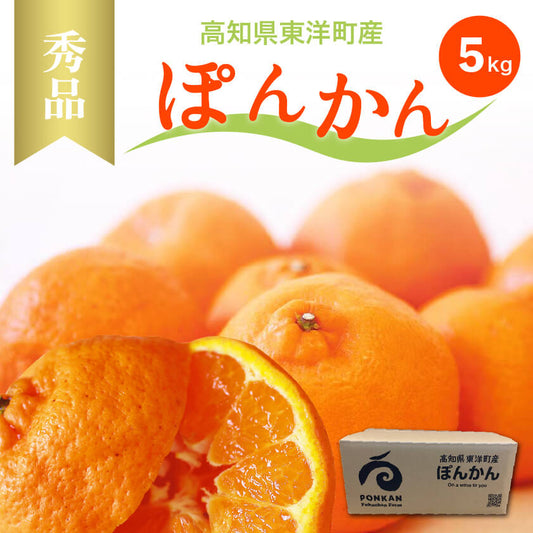ぽんかん5kg　秀品【高知県東洋町・フクチャンFARM】【今季終了】【柑橘】