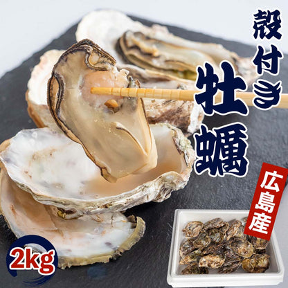 【4/6最終受付】本場広島の殻付き牡蠣 2kg