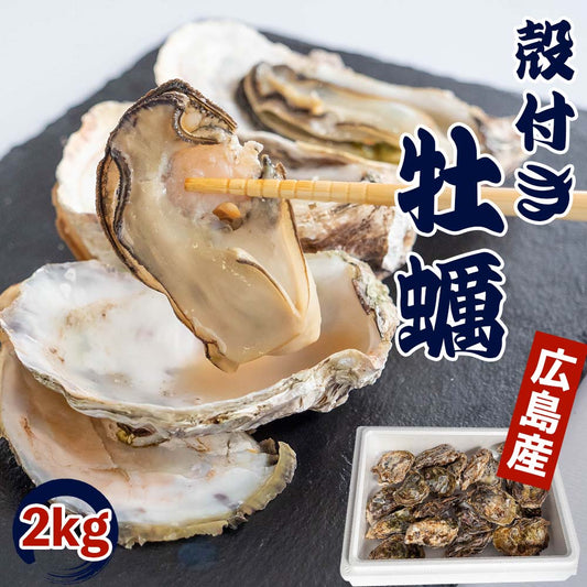 【4/6最終受付】本場広島の殻付き牡蠣 2kg