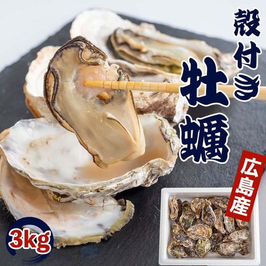 【4/6最終受付】本場広島の殻付き牡蠣 3kg
