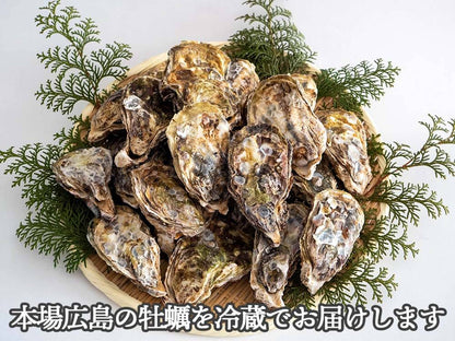【4/6最終受付】本場広島の殻付き牡蠣 3kg