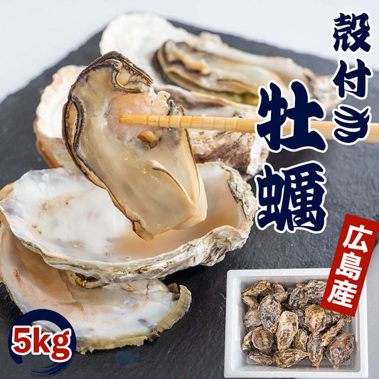 【4/6最終受付】本場広島の殻付き牡蠣 5kg