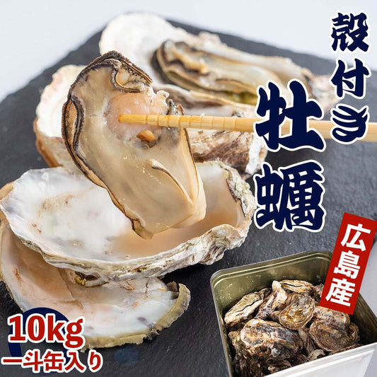 【4/6最終受付】本場広島の殻付き牡蠣 10kg 一斗缶入り