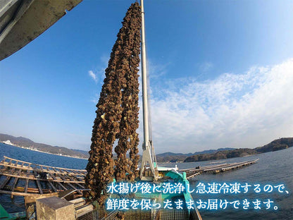 【冷凍】本場広島の殻付き牡蠣 3kg 5kg 10kg 選べる容量