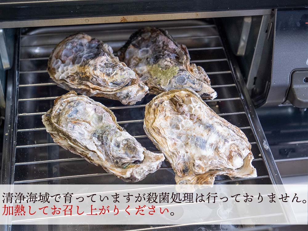 【冷凍】本場広島の殻付き牡蠣 3kg 5kg 10kg 選べる容量