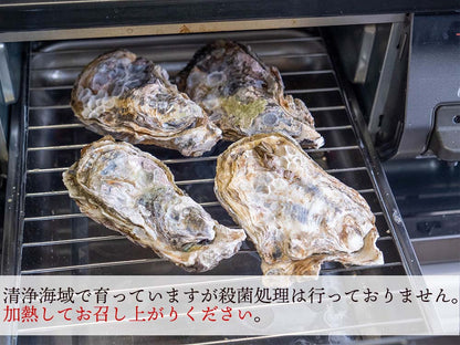【冷凍】本場広島の殻付き牡蠣 3kg 5kg 10kg 選べる容量
