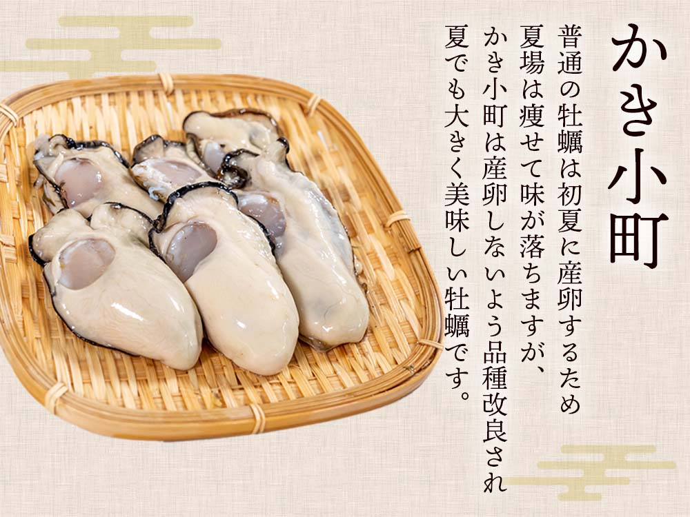 本場広島のプレミアム牡蠣「かき小町」Ｌサイズ