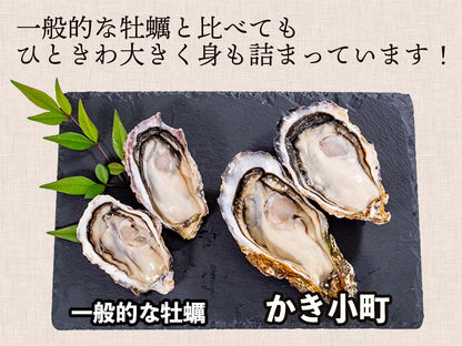 本場広島のプレミアム牡蠣「かき小町」Ｌサイズ